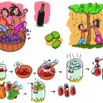 11-vin-olive-prepa_low 11-vin-olive-prepa_low